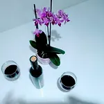 City شقة سبليت